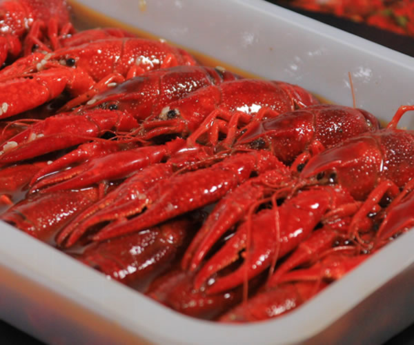 Seasoned crayfish（spicy，garlic）